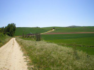 D03 Imgp3024 | Bike Rental For The Camino De Santiago | Tournride
