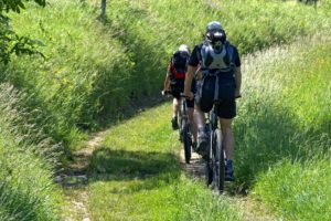 Ciclistas, Pirineos, Camino Francés