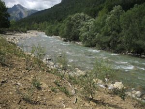 Aragon River In The Pyrenees Surrounded By Green Trees