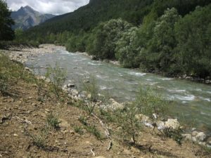 Aragon River in the Pyrenees surrounded by green trees