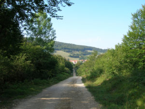 Sendero del Camino de Santiago desde Burguete a Espinal