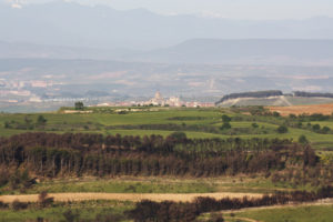 Camino a Viana entre campos verdes