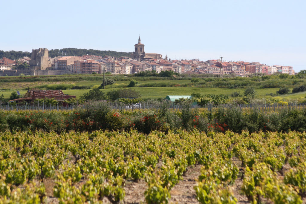 Hacer El Camino De Santiago En Bici En 14 Días. Paisaje La Rioja