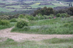 Trail down from the Alto del Perdón on the way to Estella