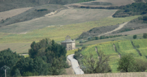 Church of Santa Maria de Eunate surrounded by fields of cereal and vineyards 