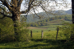 Green landscape of the path that lead from Espinal to Alto de Mezkiriz