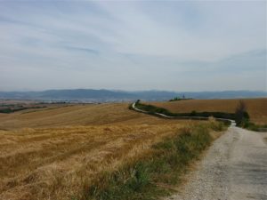 Old road at the exit of Pamplona surrounded by cereal fields