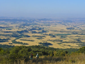 Two pilgrims on the Alto del Perdón watching the fields and trees in the background