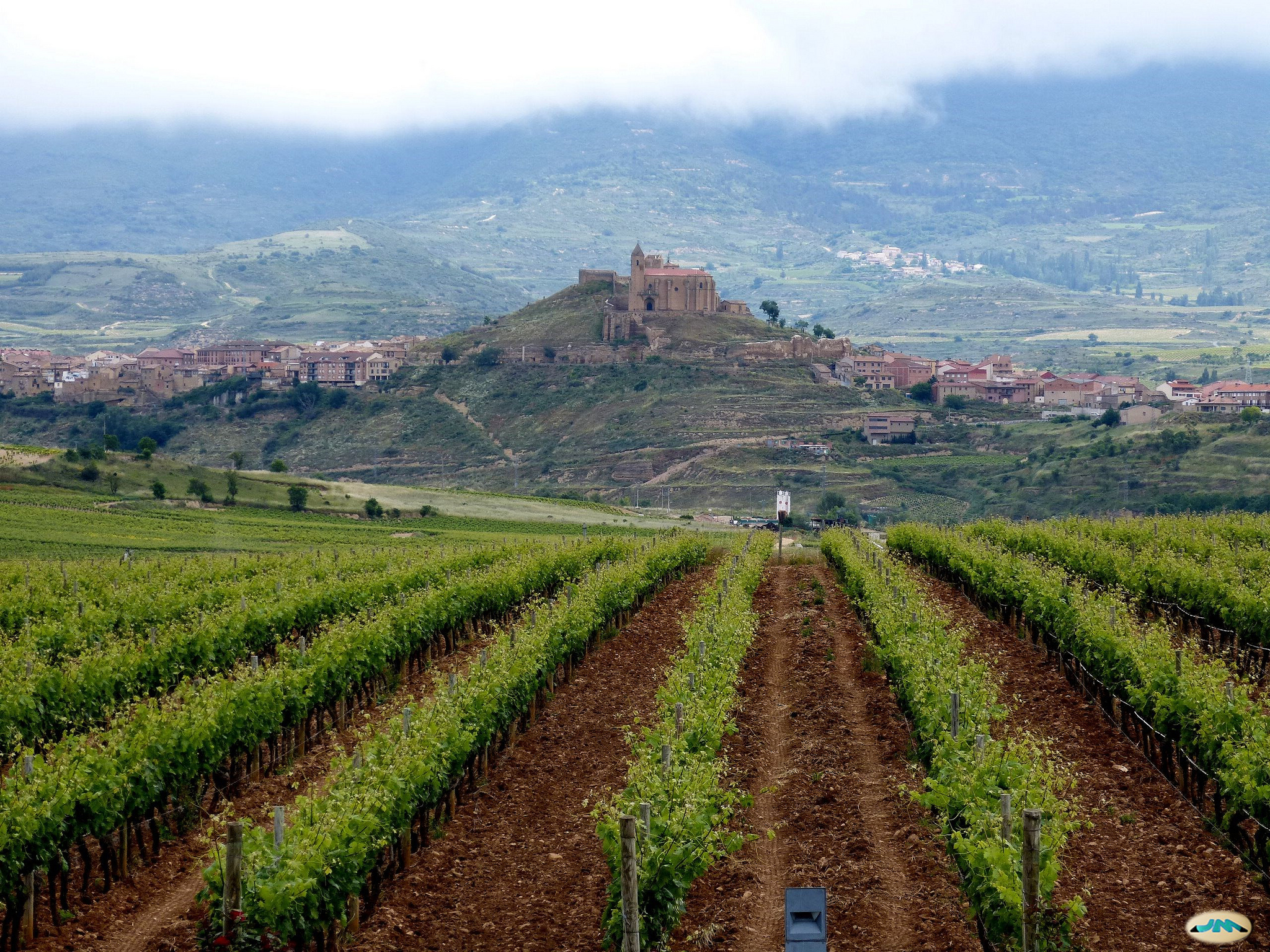 Viñedo riojano con el pueblo de Briones al fondo (fotografía cedida en Flickr por Juantigues bajo las siguientes condiciones)