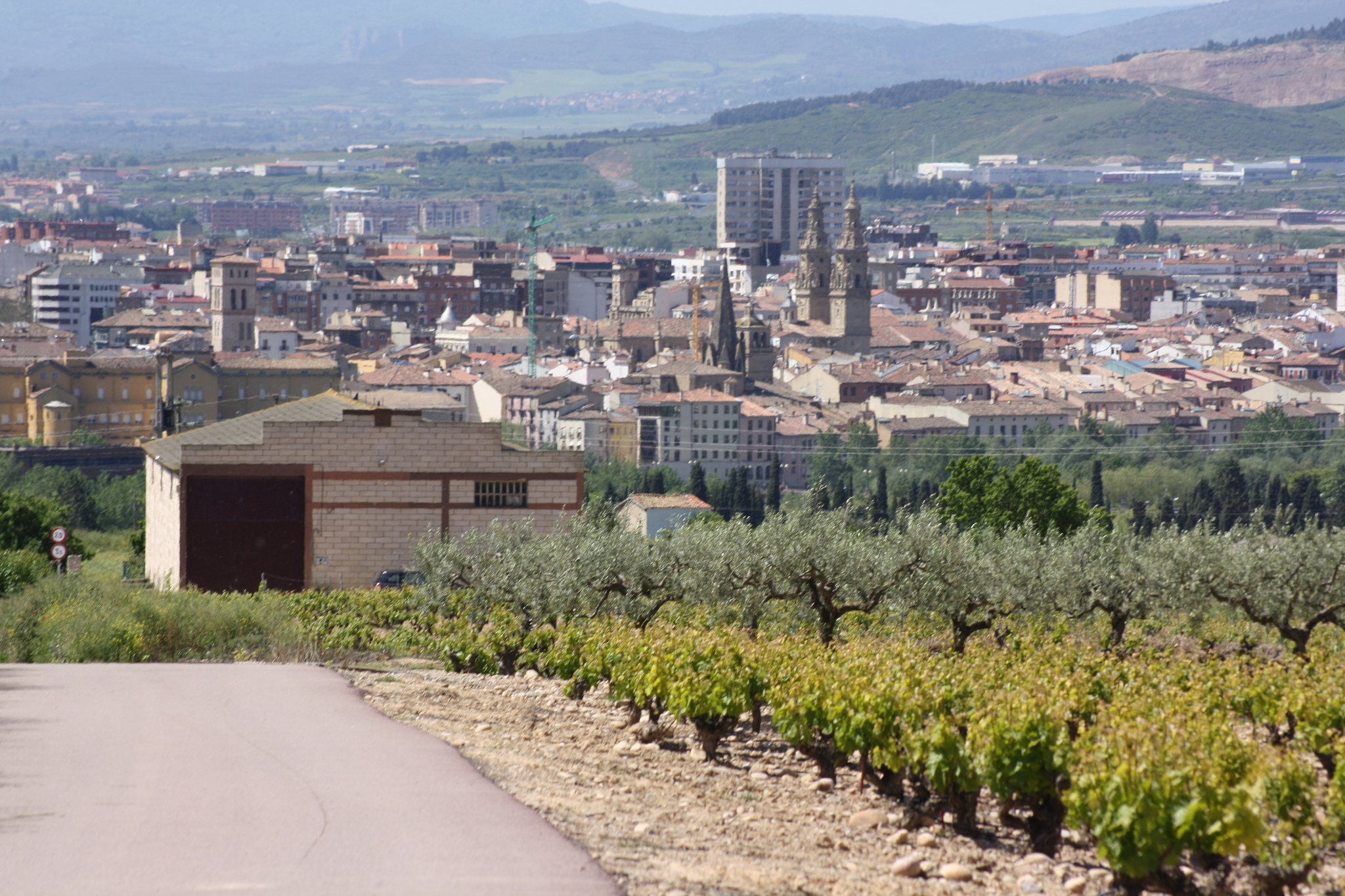 Road at the entrace to Logroño with the city in the background