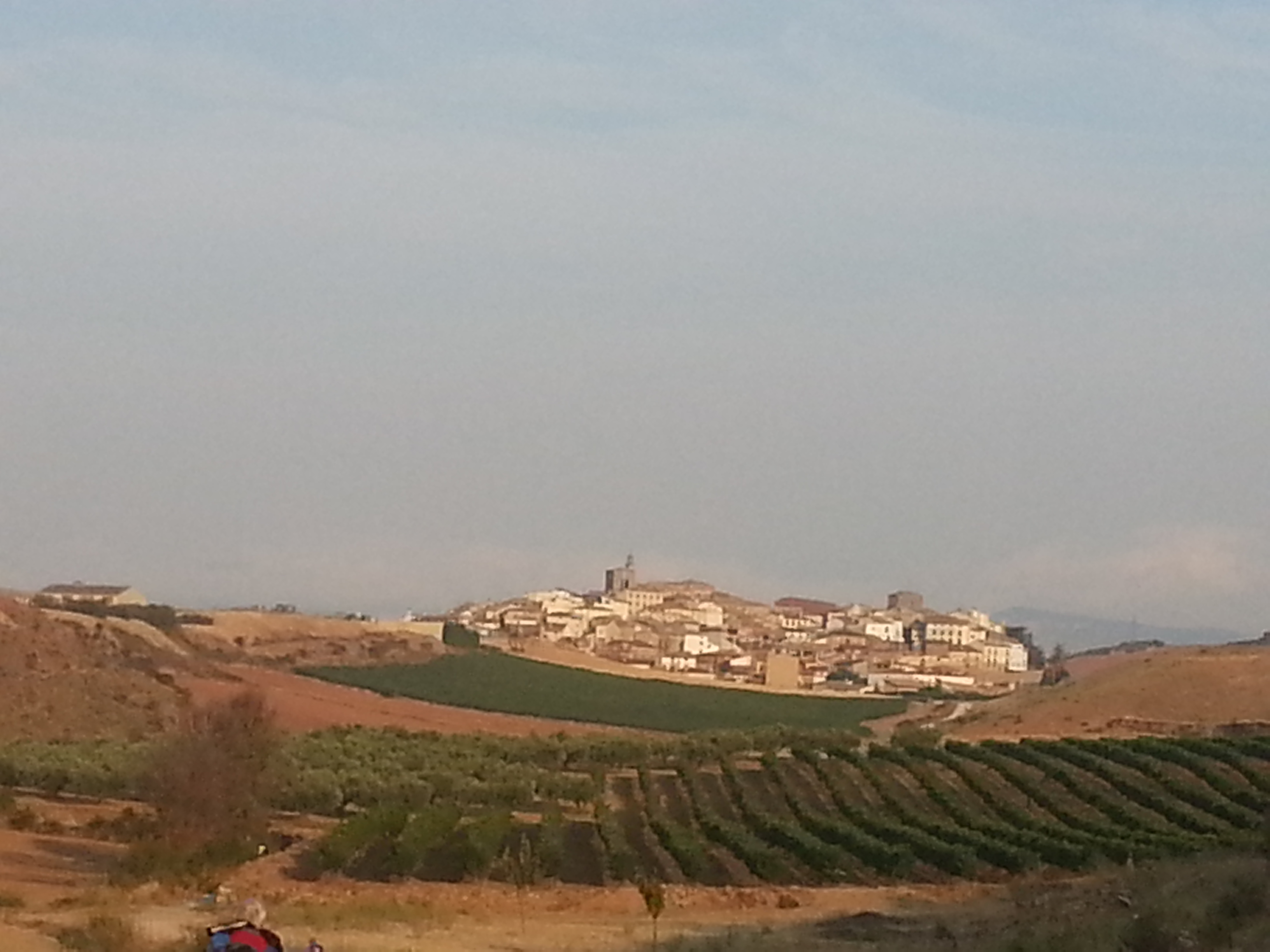 View of Mañeru surrounded by wineyards and green fields