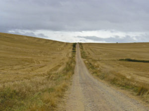 Land trail at the exit of Nájera in the Way of Saint James