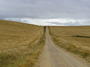 camino francés, nájera