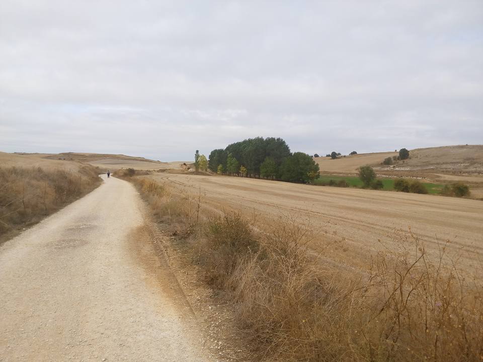Rabé Trail of the Causeway to Hornillos Del Camino, surrounded by desert fields