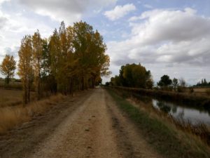 Canal De Castilla En Otoño. Jorge Gañán | Bike Rental For The Camino De Santiago | Tournride