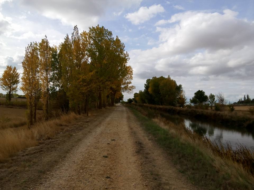 Canal de Castilla con un pequeño camino de tierra y el río al lado