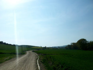 Camino con campo verde a los lado que va desde Villafranca a Montes de Oca