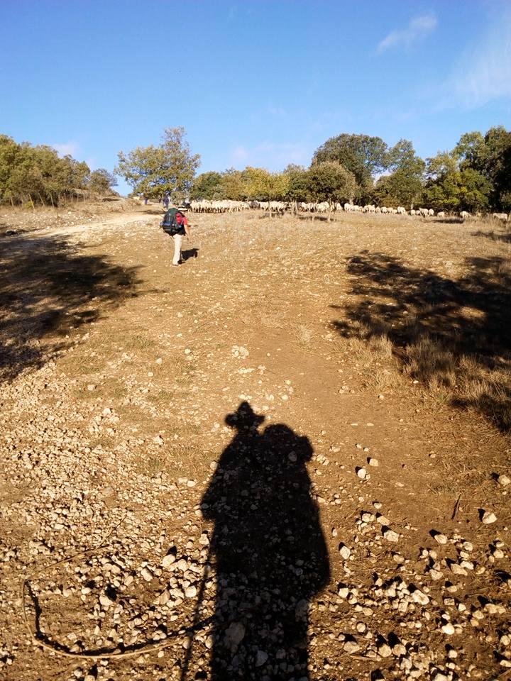 Sierra De Atapuerca Jorge | Bike Rental For The Camino De Santiago | Tournride