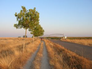 Caminos Paralelos José Antonio Gil Martinez | Bike Rental For The Camino De Santiago | Tournride