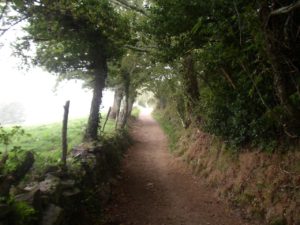 Corredoira Ramil Triacastela | Alquiler De Bicicletas Para El Camino De Santiago | Tournride