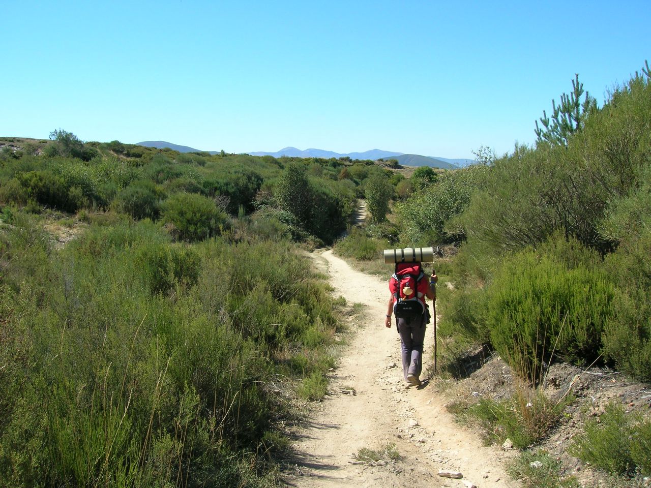 Pilgrim walking through a path in Manjarín