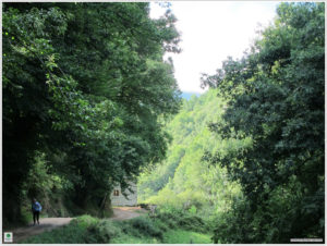 Tramo-Camino-San-Xil