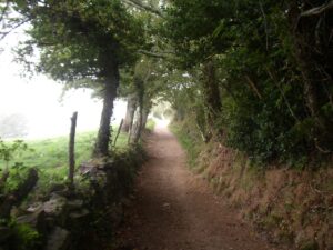 Corredoira Ramil Triacastela | Noleggio Biciclette Per Il Cammino Di Santiago | Tournride