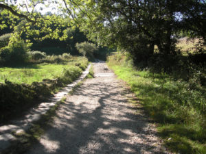 De Sarria A Melide | Alquiler De Bicicletas Para El Camino De Santiago | Tournride
