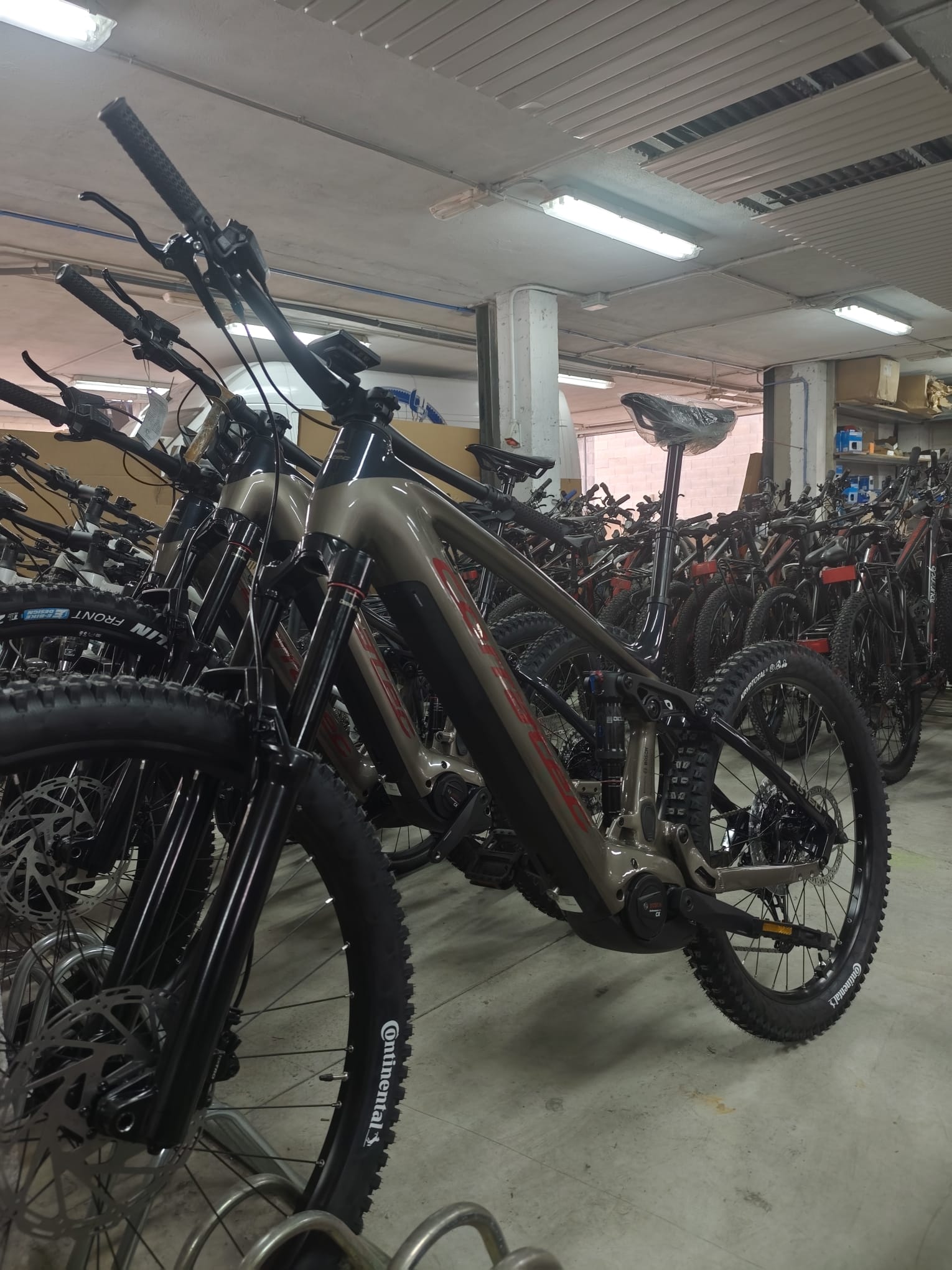 Mountain Bike Elétrica De Dupla Suspensão Da Frota De Aluguel Da Tournride